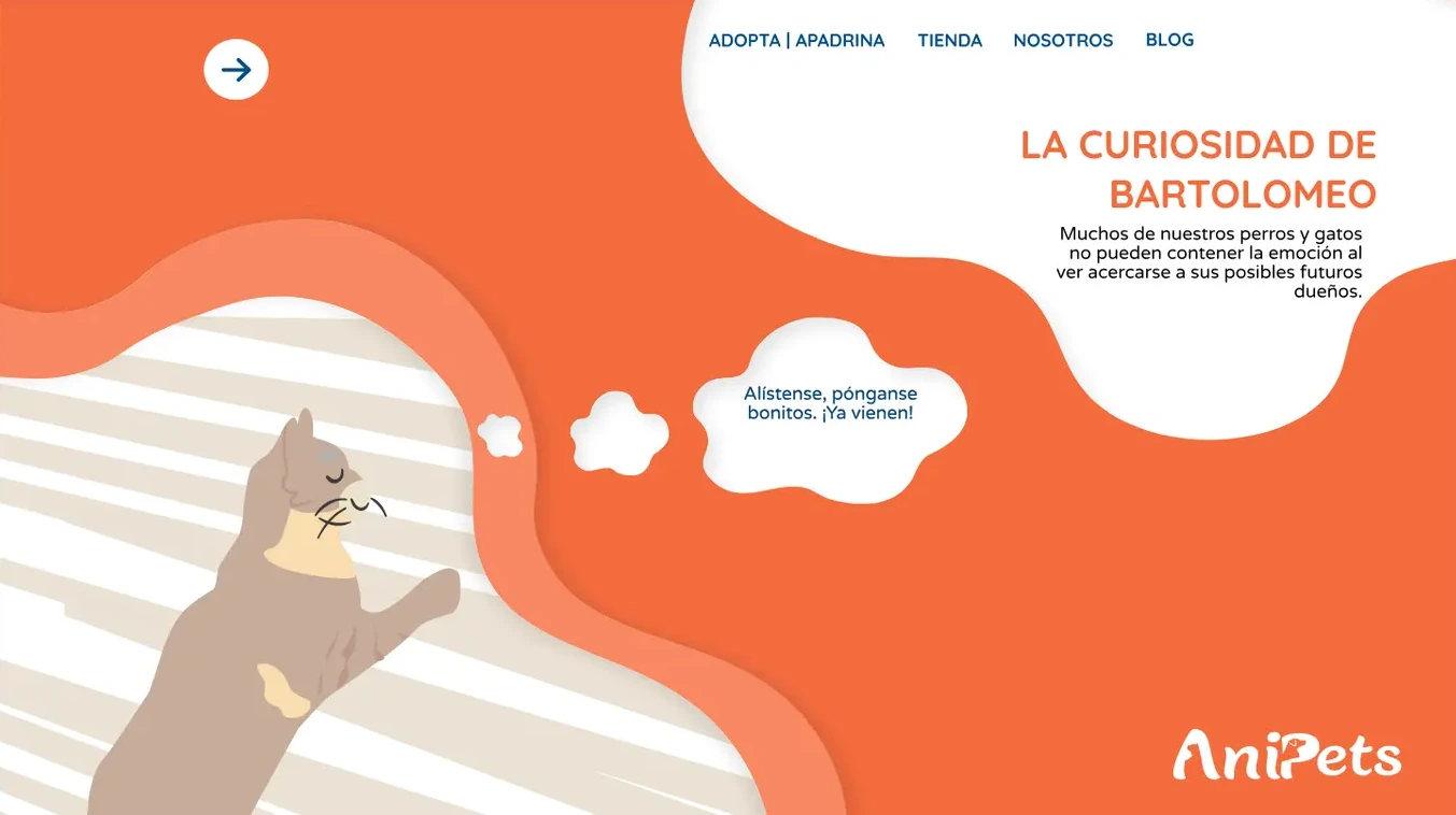 Pantalla de bienvenida con la ilustración de Bartolomeo el gato